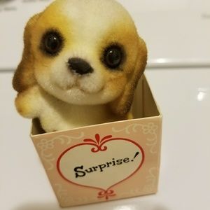 Little surprise dog in box